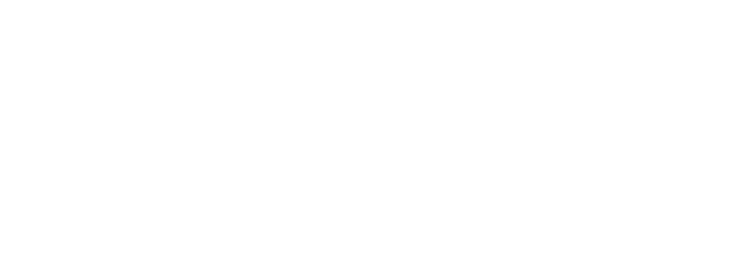 logo light